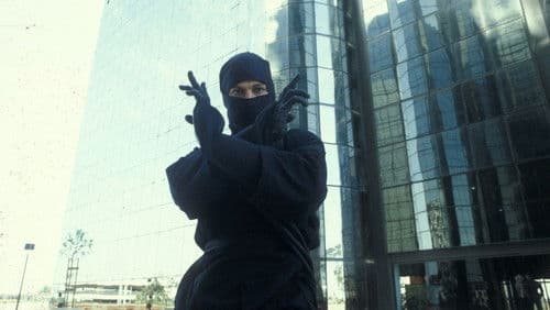 The Last Ninja Bild 3