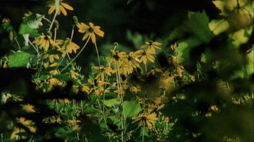 Die große Orgie Bild 1