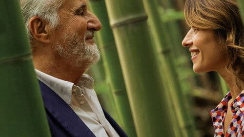 I limoni d'inverno Bild 8