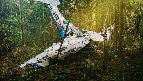 Die verlorenen Kinder Bild 3