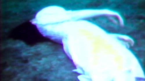 Beneath the Skin Bild 1