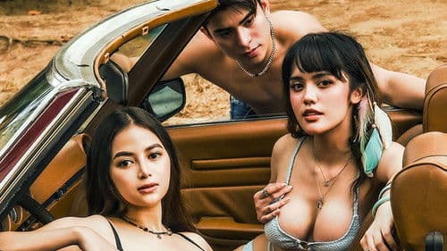 Sweet Release Bild 2