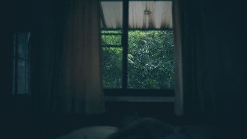 แดนศักดิ์สิทธิ์ Bild 3