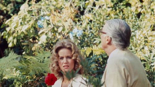 Live Again, Die Again Bild 3