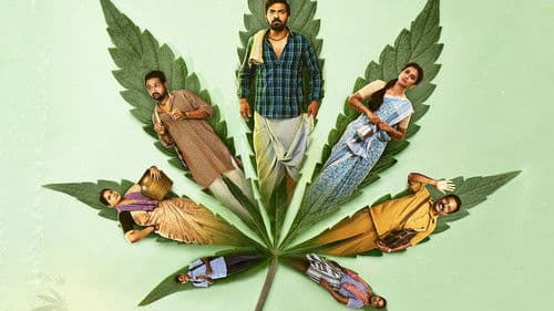 Accidental Farmer & Co. Bild 1