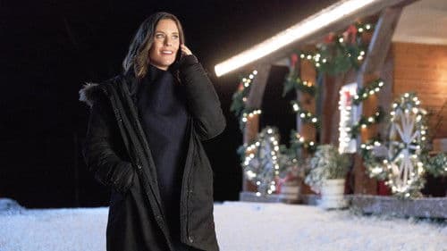 Im Norden strahlt der Weihnachtsstern Bild 4