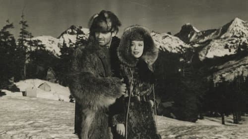 Goldfieber in Alaska Bild 6