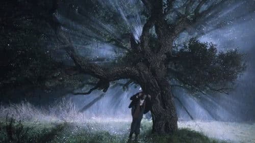 Die Stimme des Mondes Bild 1