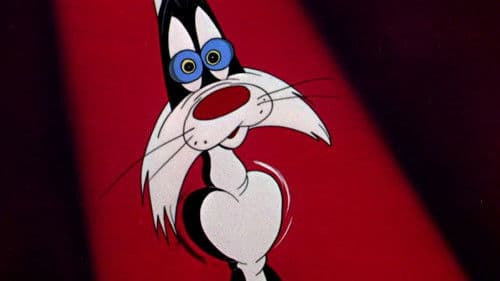 Schwein gehabt Bild 4