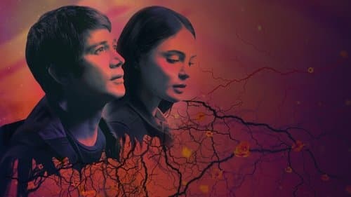 Flower of Evil Bild 2