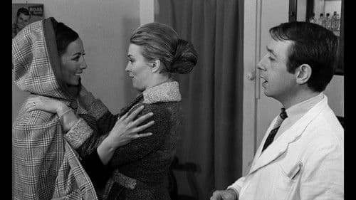 Die Demarkationslinie Bild 3