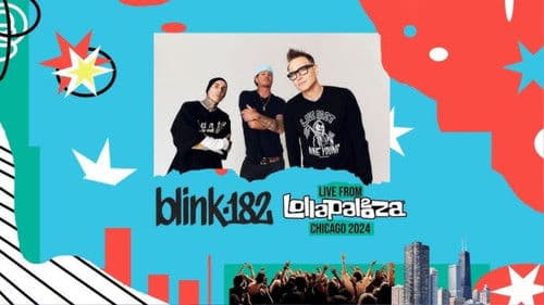 blink-182: Live at Lollapalooza Bild 3
