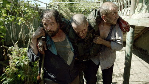 შინდისი Bild 2