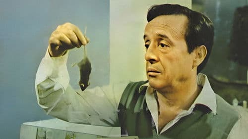 Don Ratón y Don Ratero Bild 1