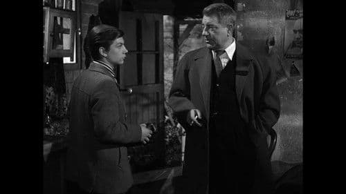 Wie verlorene Hunde Bild 1