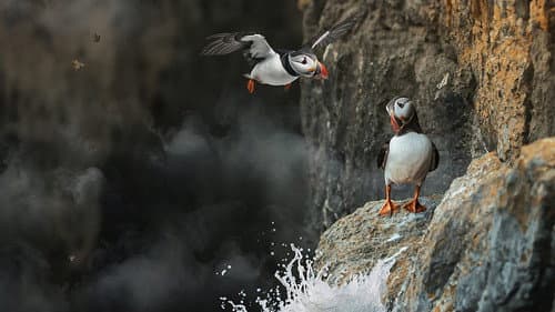 Inside Britain's National Parks Bild 1