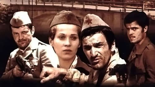 Devojački most Bild 2