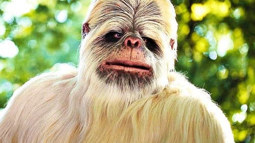 сНежный человек Bild 1