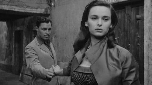 Die Dame ohne Kamelien Bild 4