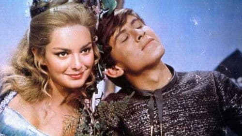 Per amore... per magia... Bild 1