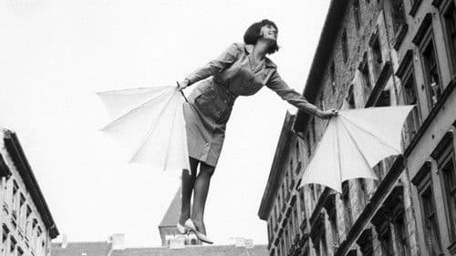 Fräulein Schmetterling Bild 2