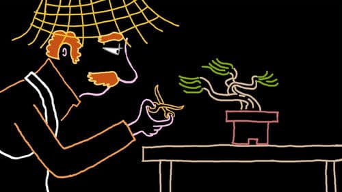 Chroniques animales Bild 3