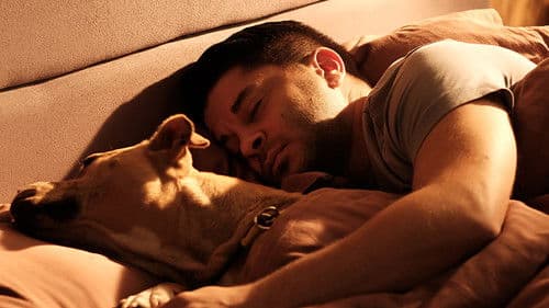 Dikkat Köpek Var Bild 1