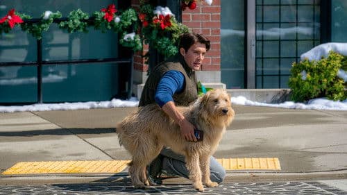 Ein unvergessliches Weihnachtsgeschenk Bild 7