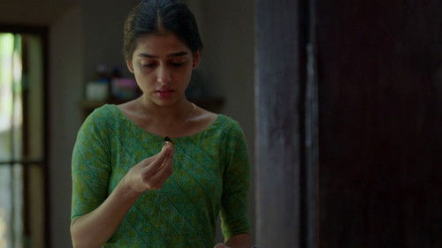 വ്യസനസമേതം ബന്ധുമിത്രദികൾ Bild 7