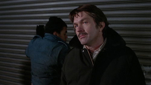 Tödliche Abrechnung Bild 4