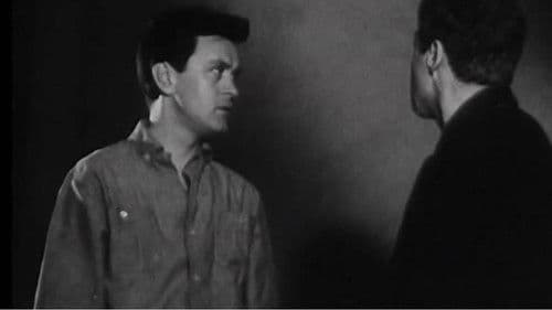 Die Verwundbaren Bild 1