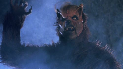 Hard Rock Nightmare Bild 2