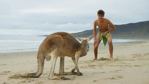 Airplane Mode Bild 4