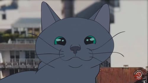 Ko se boji Slavka još? Bild 5