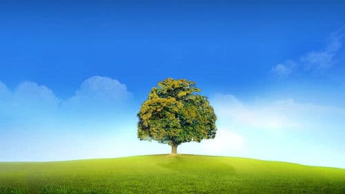 Who Do You Think You Are? Bild 1