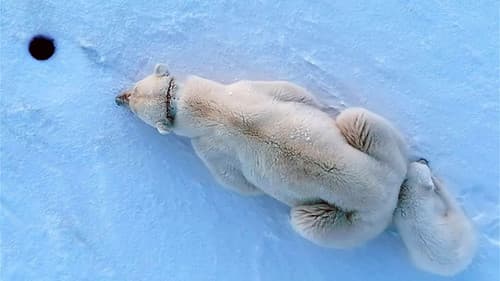 Die Arktis - 66,5 Grad Nord Bild 4