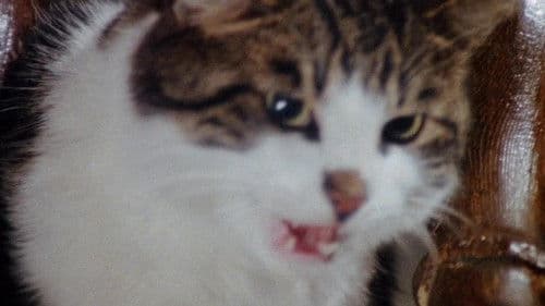 Das Unheimliche Bild 3