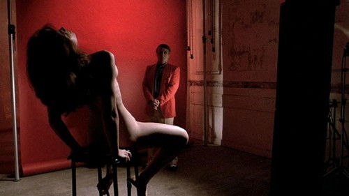 Die öffentliche Frau Bild 4