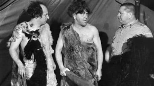 Three Missing Links Bild 1