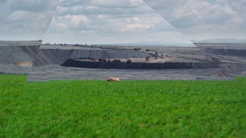 Behemoth - Schwarzer Drache Bild 8