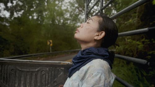 Because Watching Pacifies Bild 1