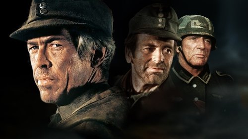 Steiner - Das Eiserne Kreuz Teil II Bild 1