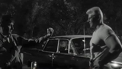 Mollymauk, der Wunderknabe Bild 5