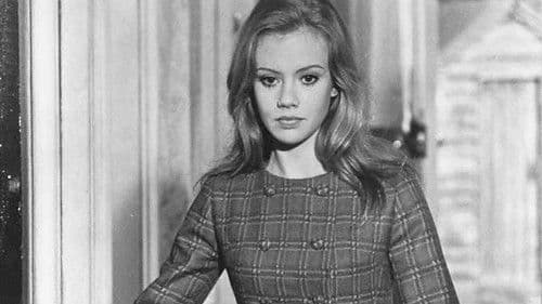 Teufelskreis Y Bild 8