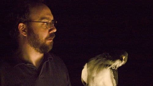 The Hawk Is Dying Bild 1