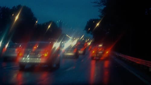 Daddy Longlegs Bild 7