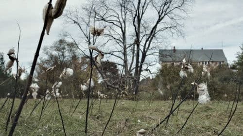 God Knows Where I Am Bild 2