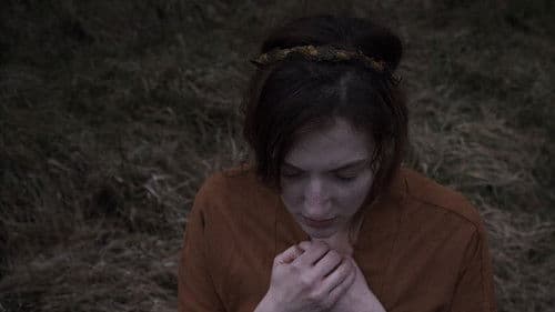 Beneath the Trees Bild 1