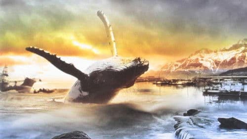 A Whale for the Killing Bild 1