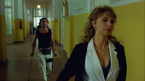 In barca a vela contromano Bild 4